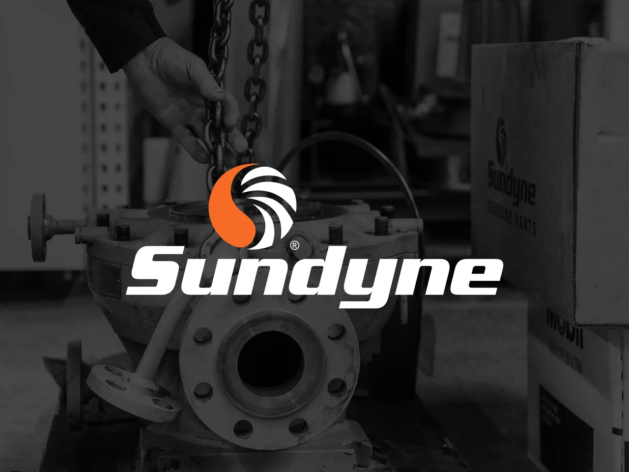 Sundyne industrial equipment logo profile